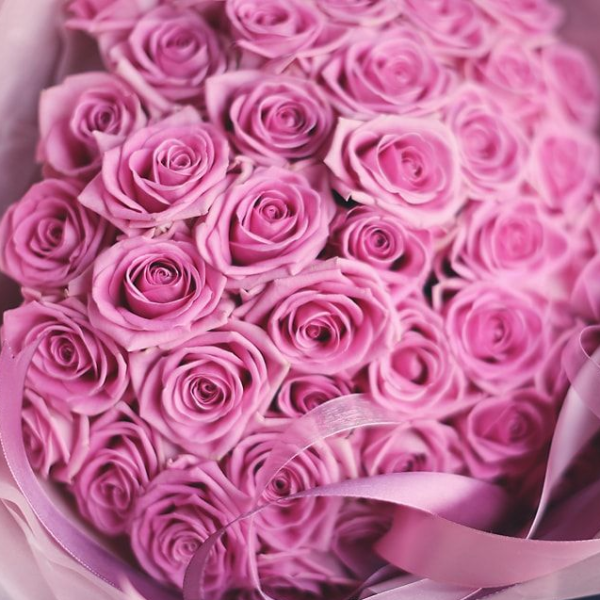 Букет из 51 розовой розы Аква