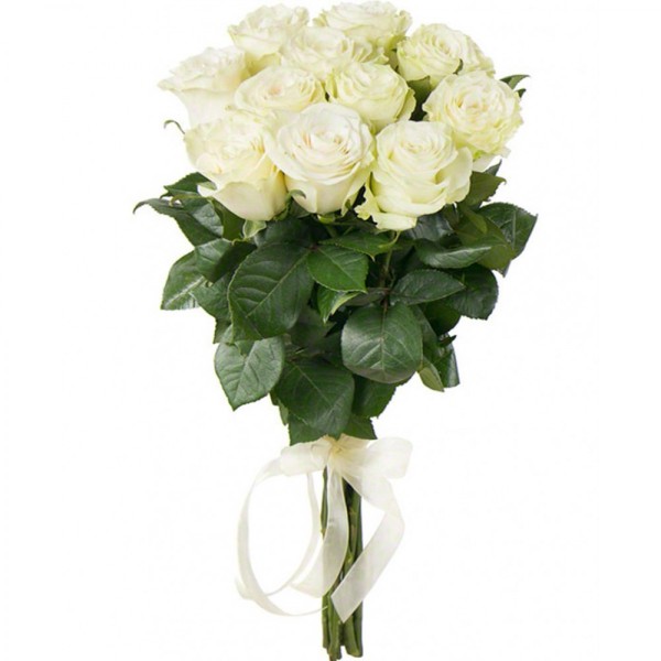 Белые розы Mondial 11 шт Ecuador