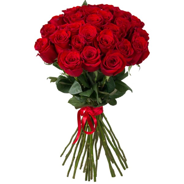 Красная роза "Гран При" оптом 70 см