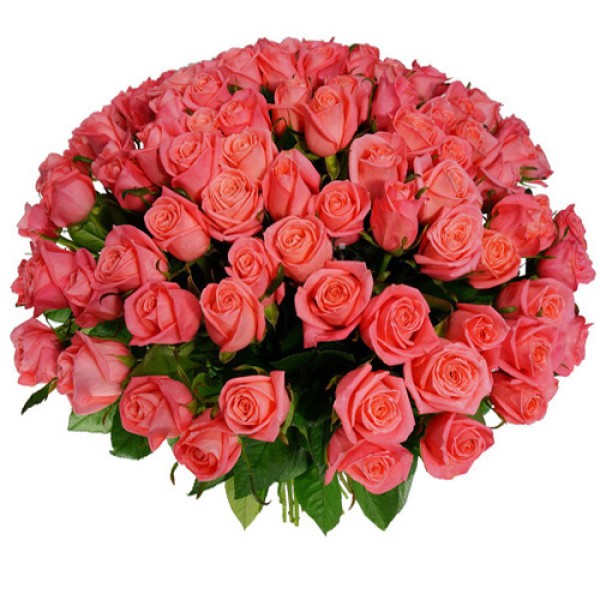 Розовая роза "Анна Кариния" оптом 80см.