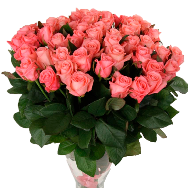 Розовая роза "Анна Кариния" оптом 70 см.