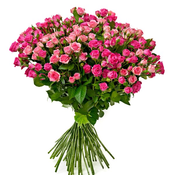 Розовая кустовая роза "Лавли Лидия" оптом 80 см.