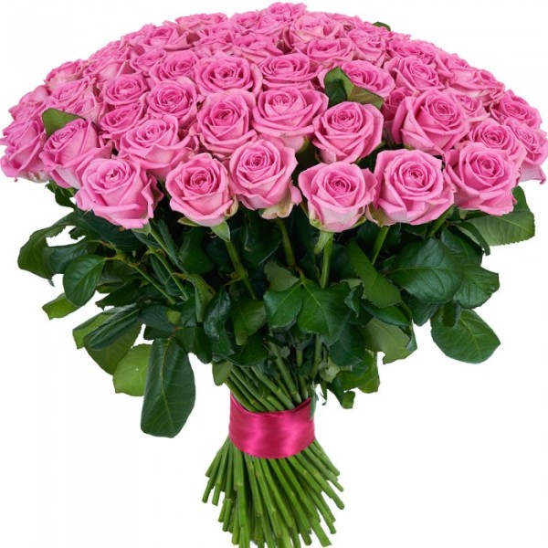 Розовая роза "Аква" оптом 70см.