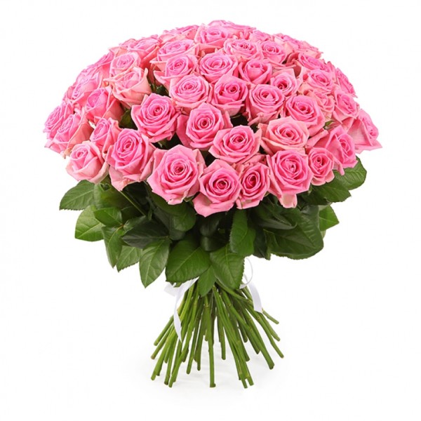 Розовая роза "Аква" оптом 80см.