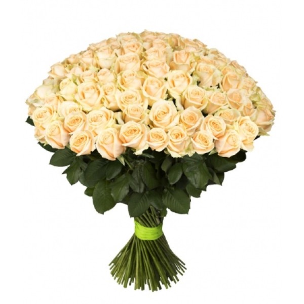 Кремовая роза "Пич Аваланж" оптом 80см.