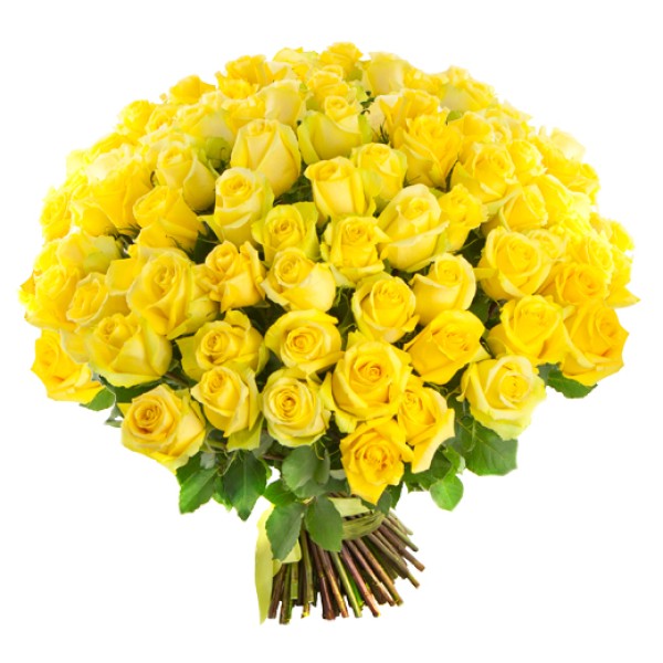 Желтая роза "Пенни Лейн"