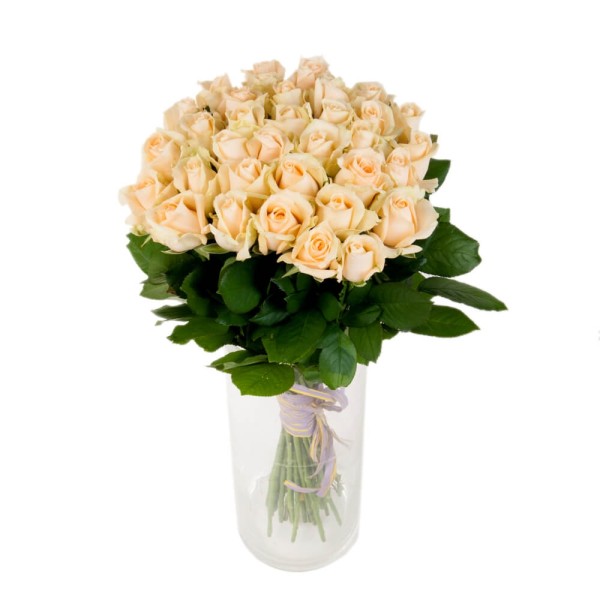 Кремова троянда "Піч Аваланж" оптом 90см.