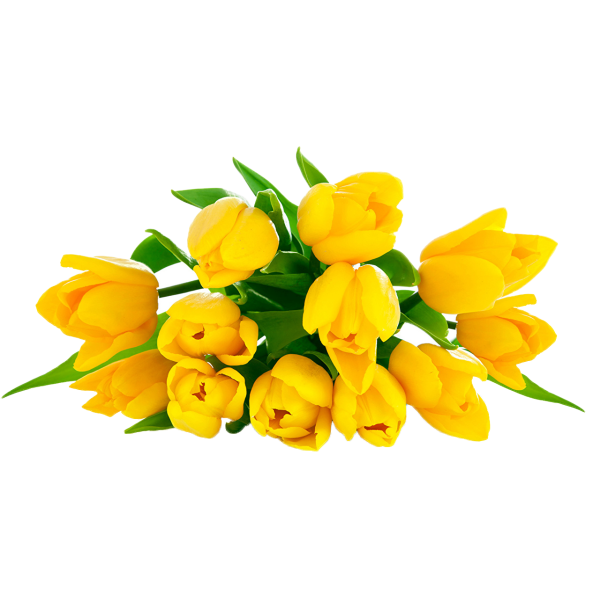 Букет із Жовтих тюльпанів
